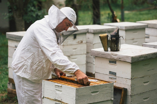 Apiculture Continuum