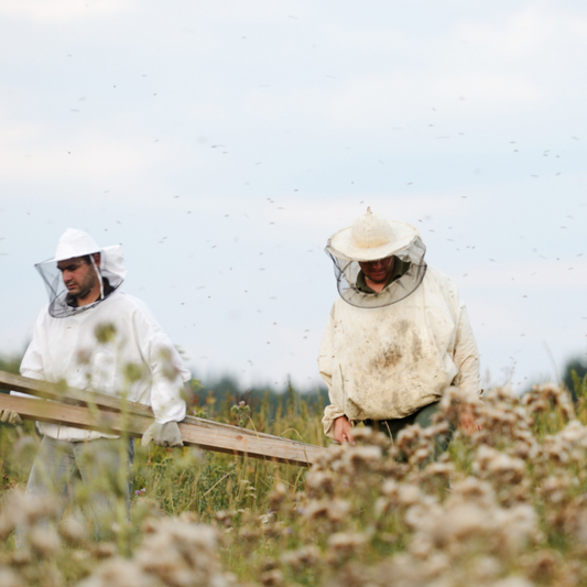 Why is Pass the Honey Regenerative and not Organic?