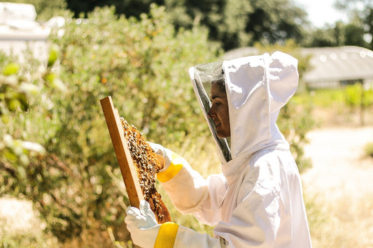 How to Celebrate National Bee Day