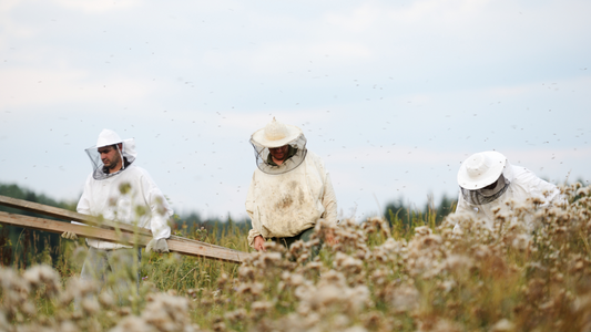 What is Regenerative Beekeeping?